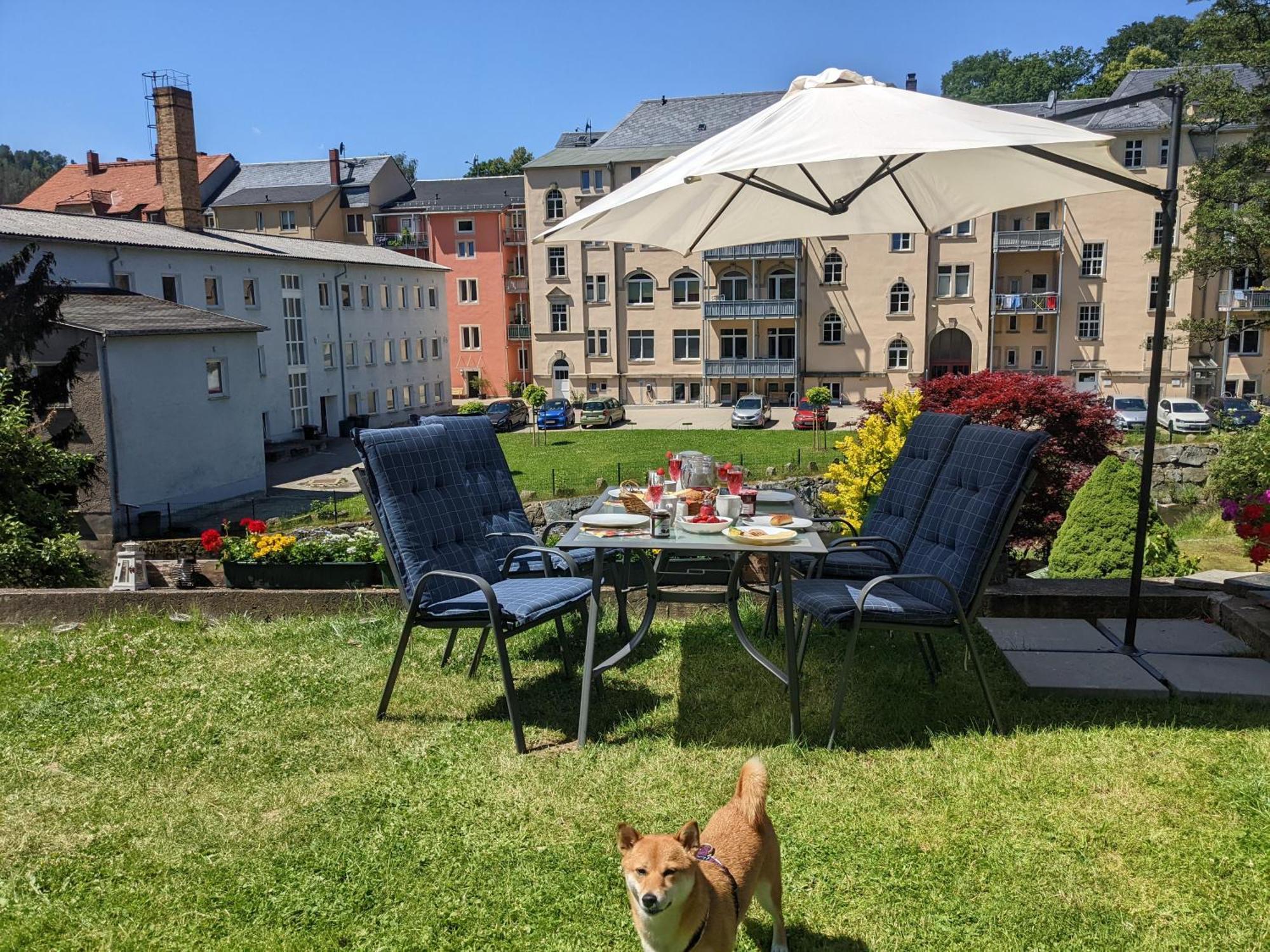 F1 - Urlaubsmagie - Helle Wohnung Mit Sauna & Pool & Whirlpool Sebnitz Exterior foto
